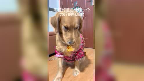 搞笑短视频15秒