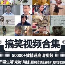 搞笑短视频大全15秒