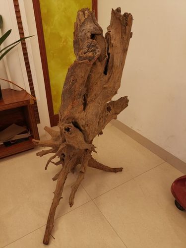 根雕制作方法视频