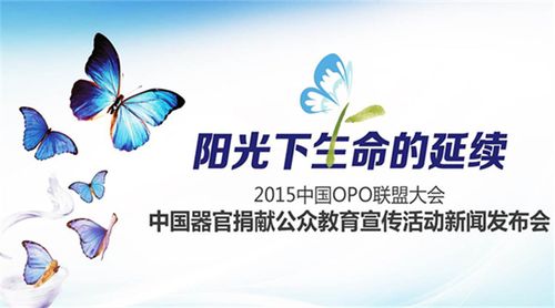 公益宣传视频下载