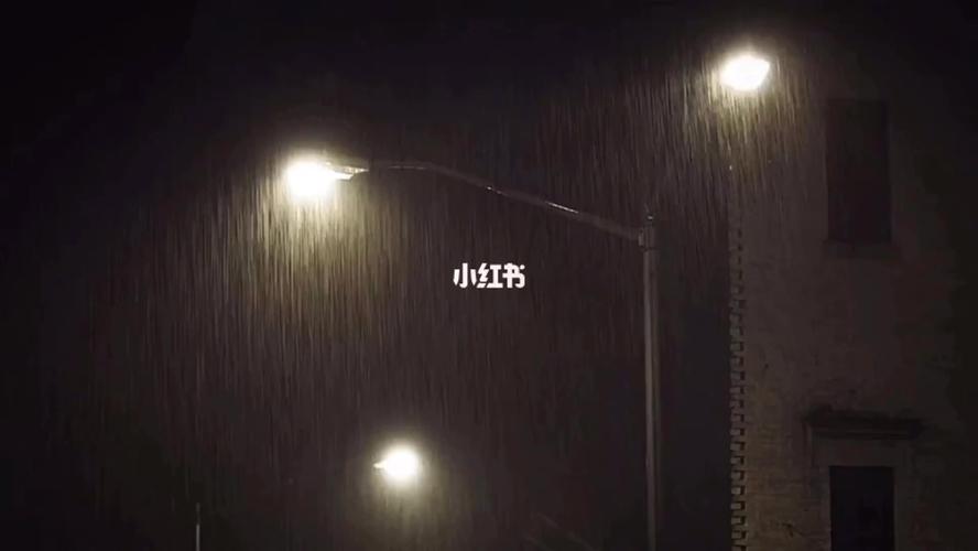 关于下雨的短视频