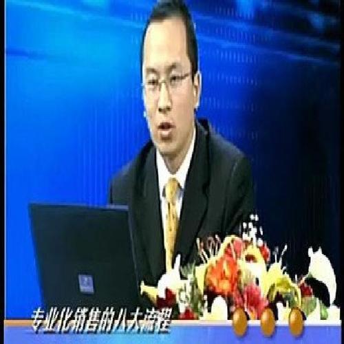 关于销售的视频