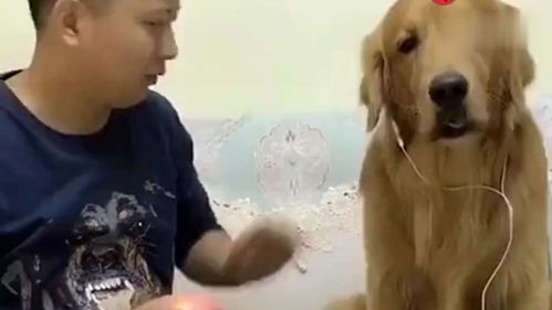 关于婴儿的搞笑短视频