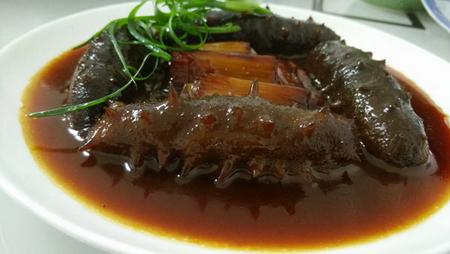 海参做法视频