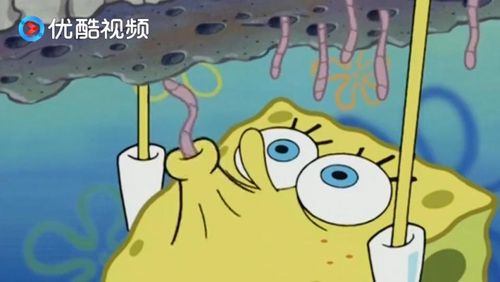 海绵宝宝短视频15秒