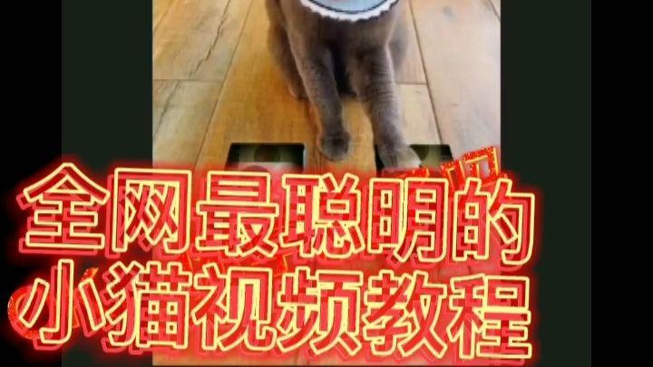 好逗短视频