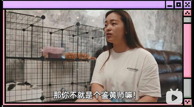 黄色短视频免费