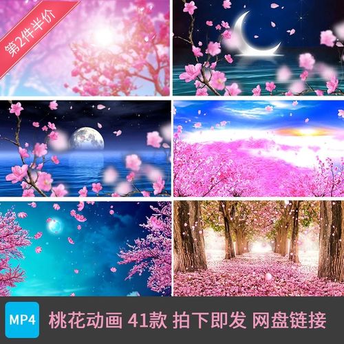 简短的动画视频