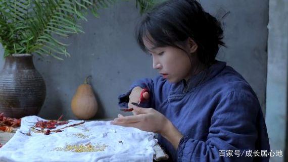李子柒短视频营销