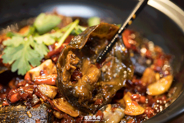 麻辣甲鱼的做法视频
