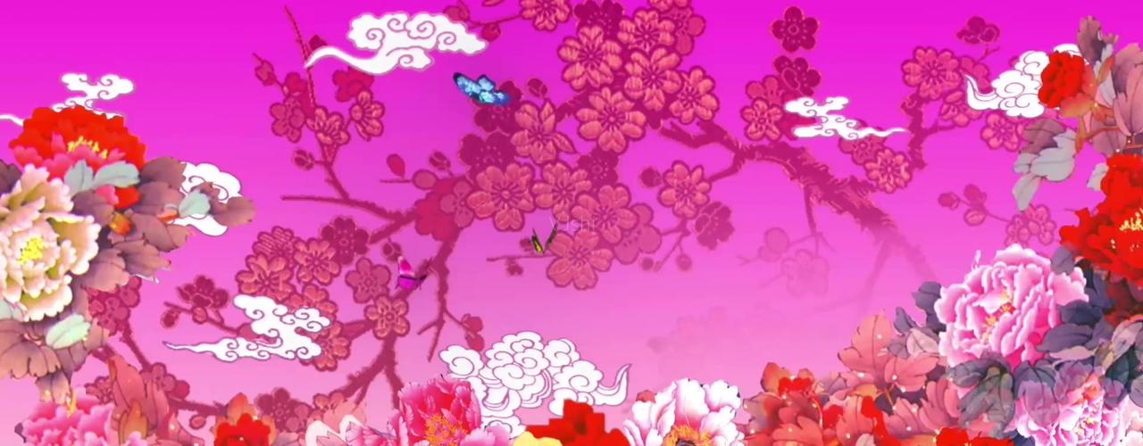 梅花短视频