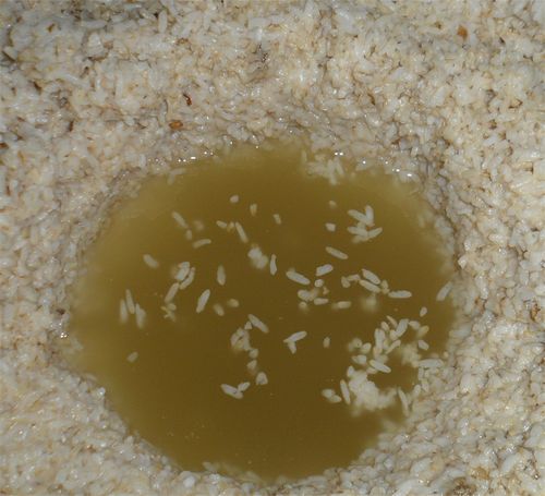 米酒的做法视频的制作方法