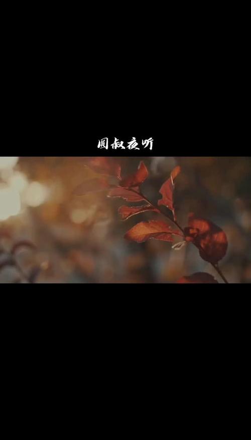 情感短视频