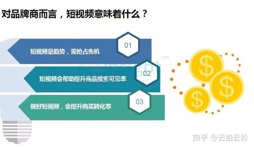 什么叫营销视频