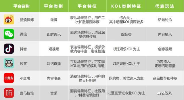 视频kol营销