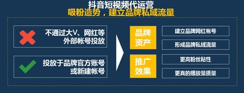 视频事件营销