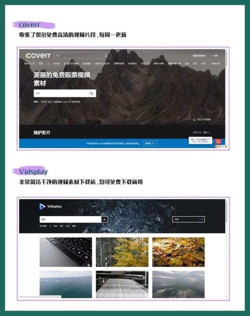 视频销售网站