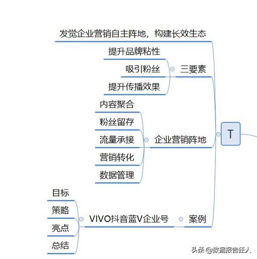视频营销的两种主要模式