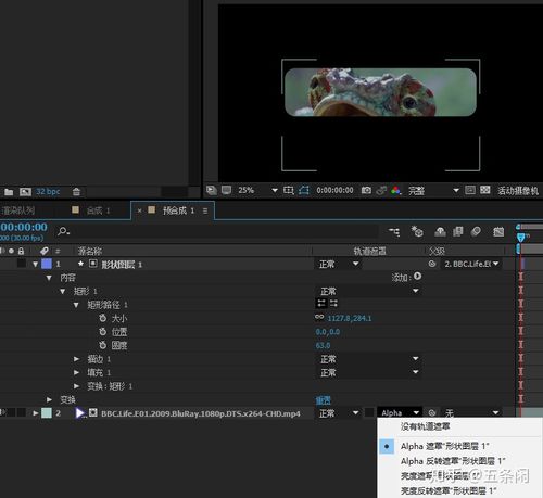 视频制作ae