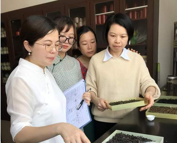 推销茶叶的视频