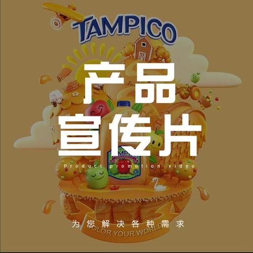 推销广告视频制作