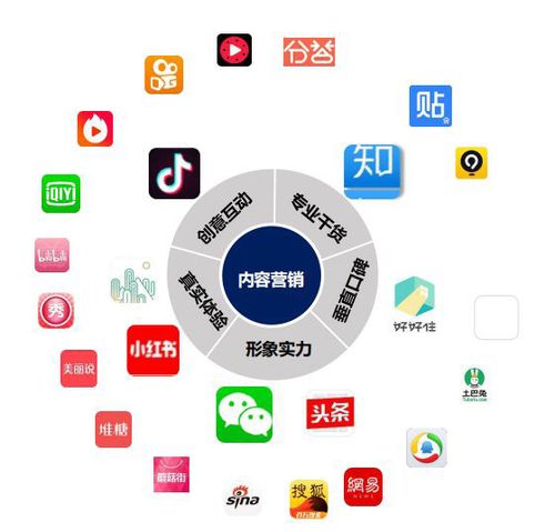 线上销售形式