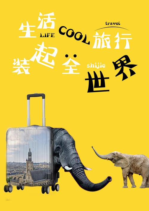 箱包创意广告视频