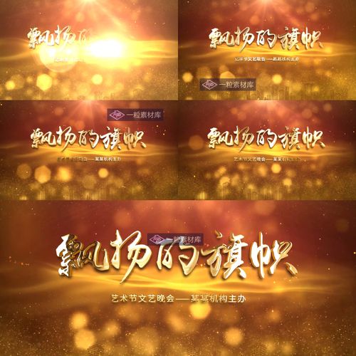 宣传视频字幕