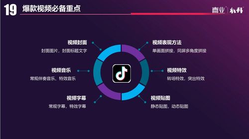 营销视频视频教程全集