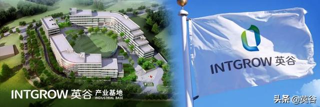 跨境电商实习总结 跨境电商实习总结