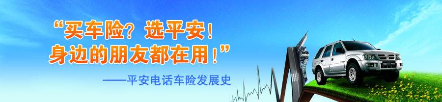 平安电商车险(平安车险商业保险) 平安电商车险(平安车险商业保险)