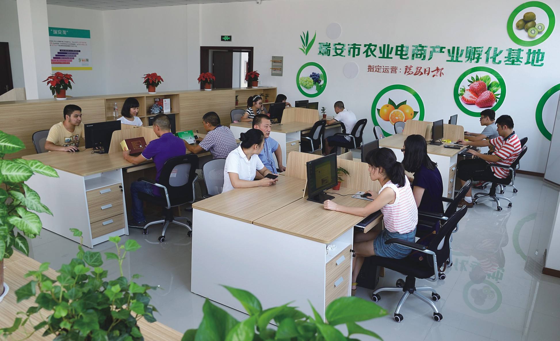 电商农产品(电商农产品市场分析) 电商农产品(电商农产品市场分析)