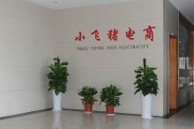 电商有限公司(国网智联电商有限公司)