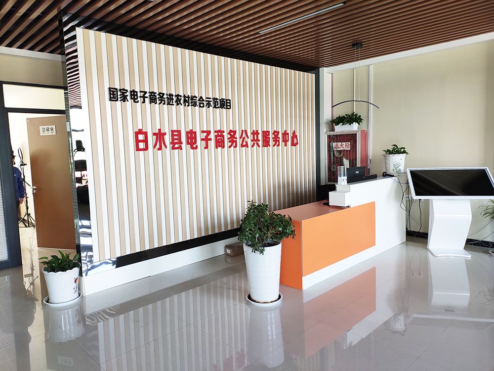 电商中心(长三角电商中心)
