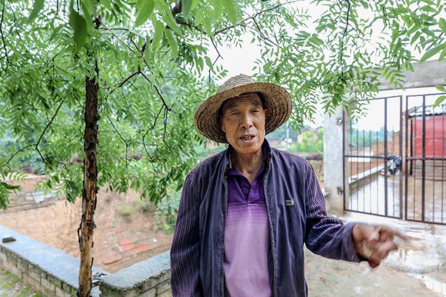 大槐树电商盈利模式 大槐树电商盈利模式