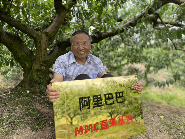电商农业