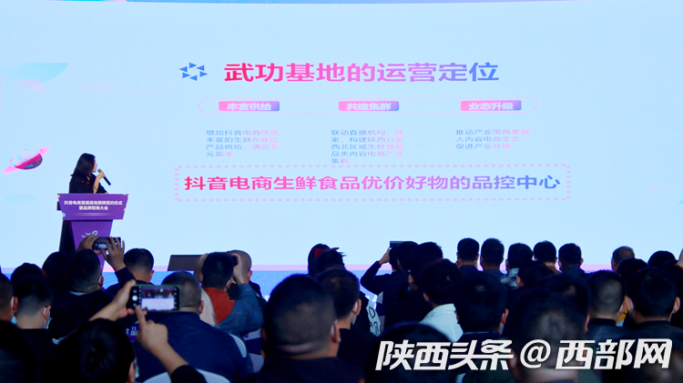 陕西电商比较厉害的公司(西安比较大的电商公司有哪些?)