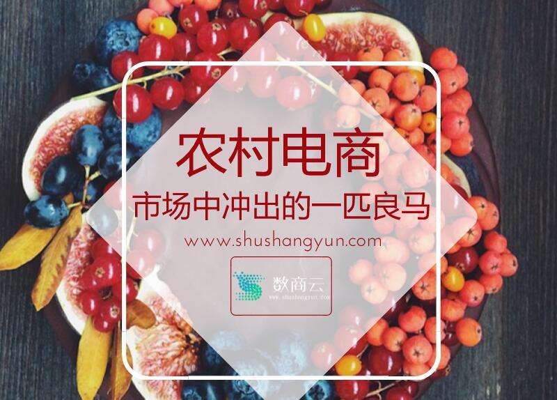 如何加入农资电商平台(农产品电商平台怎么加入)