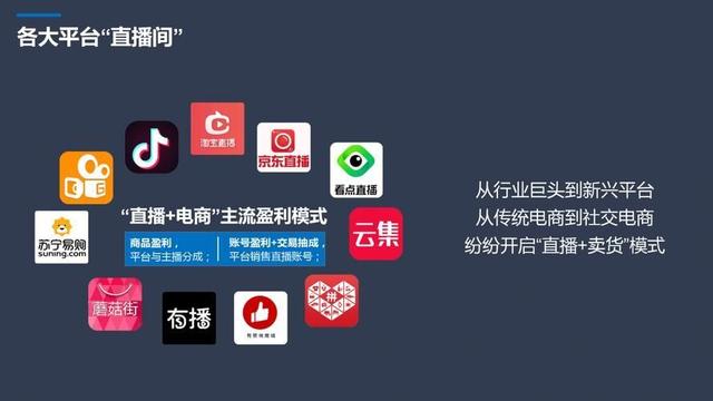 人气快排-电商系统开发商，专注电商行业服务系统开发与运营