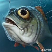 网传冯小刚在一次捐款中只捐了一分钱，你们怎么看？