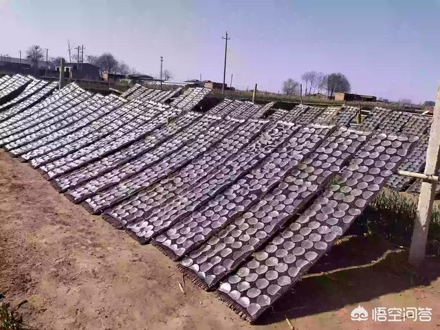 现在做电商卖农产品可以吗？