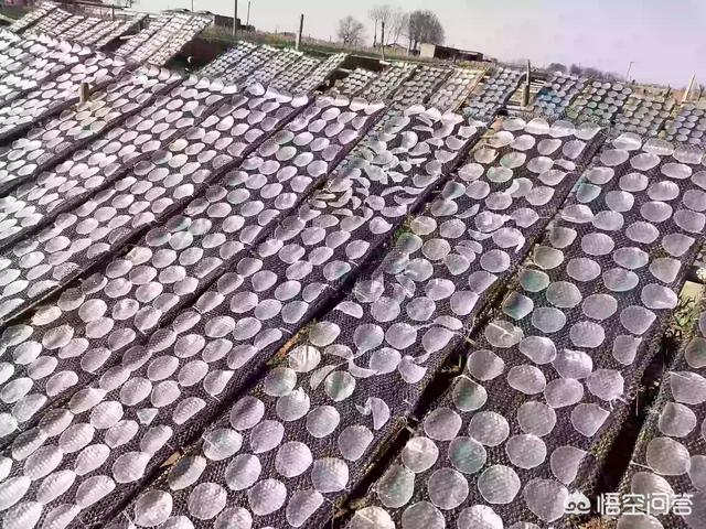 现在做电商卖农产品可以吗？