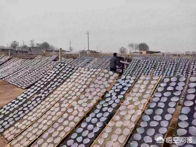 现在做电商卖农产品可以吗？