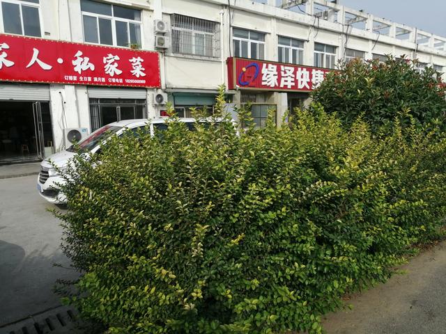 说说你的经历,开实体店被电商冲击,还扛得住吗,准备怎么解决?