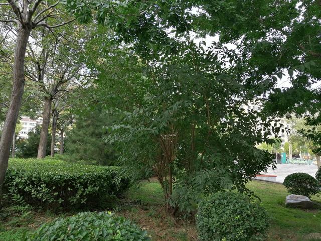 说说你的经历,开实体店被电商冲击,还扛得住吗,准备怎么解决?