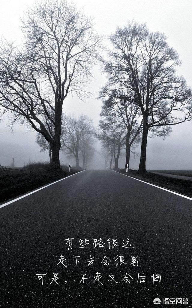 现在的电商还可以做吗,拼多多和淘宝的利润还大不大?