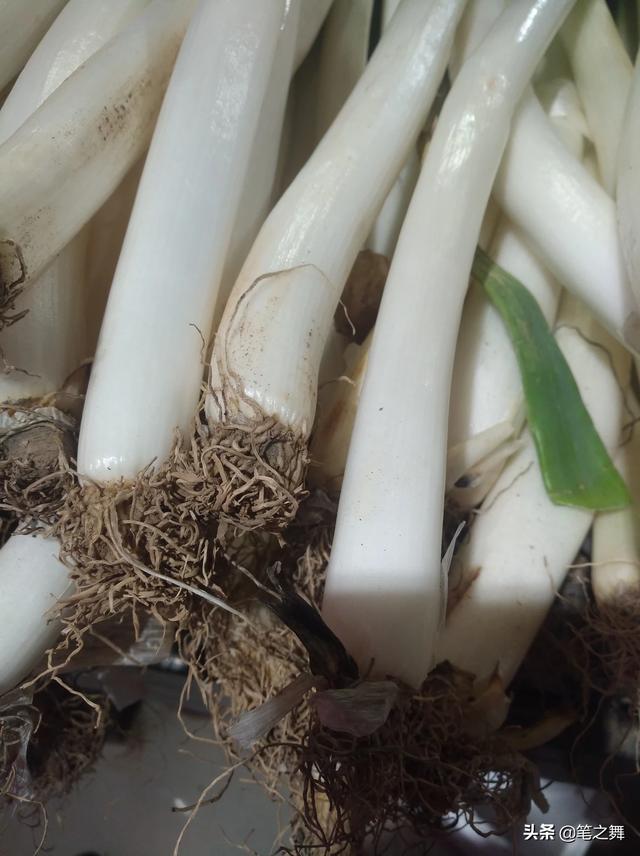 电商在农村前景如何？对扶贫兴农起哪些助推作用？