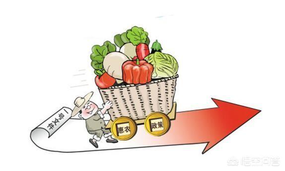 怎么加入电子商务服务站?