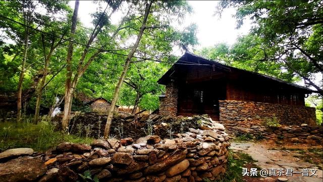 线上电商销卖茶叶，销售前景怎么样？