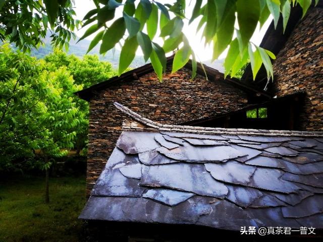 线上电商销卖茶叶，销售前景怎么样？